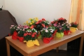 Fruehlingskaffee-22_28