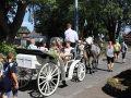 KInderschuetzen-und-Sommerfest-3