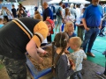 Sommerfest_Blumensiedlung002
