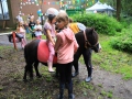 Sommerfest_Blumensiedlung129