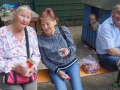 Sommerfest_2025_11